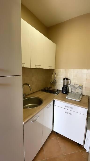 Stunning Lake And Mountain Views - Velkoski Apartments 奥赫里德 外观 照片